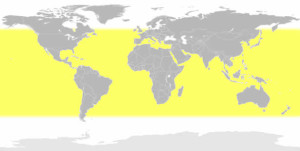 Hammerhead Shark Map